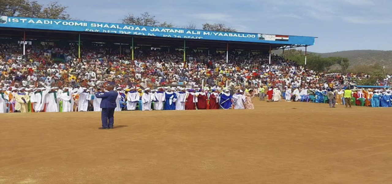 January 2026 Gospel Mission Update